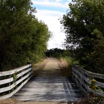 Jane_Addams_Richland_Creek_Trail