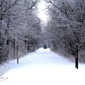 021219_jane-addams-trail-winter-2