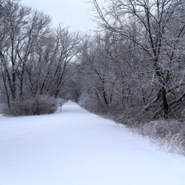 021219_jane-addams-trail-winter-3