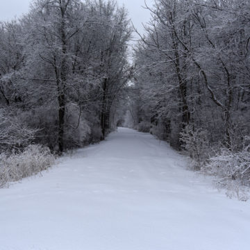 021219_jane-addams-trail-winter