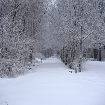 021219_jane-addams-trail-winter-4