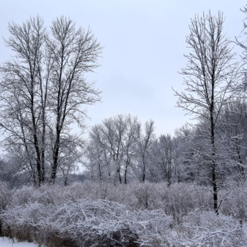 021219_jane-addams-trail-winter-6